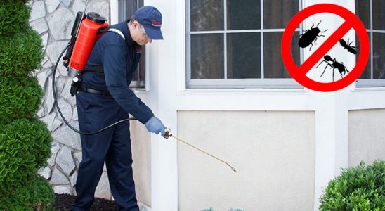 Atakent Karınca İlaçlama böcek ilaçlama ve haşere kontrolü — ilaclama-tr.com